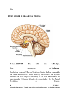 Tudo sobre glândula pineal.pdf